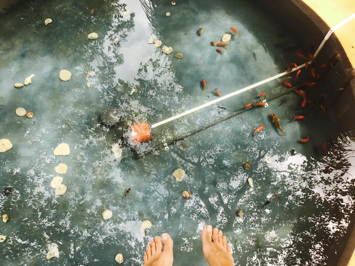 椰子酒店 波图维勒 外观 照片